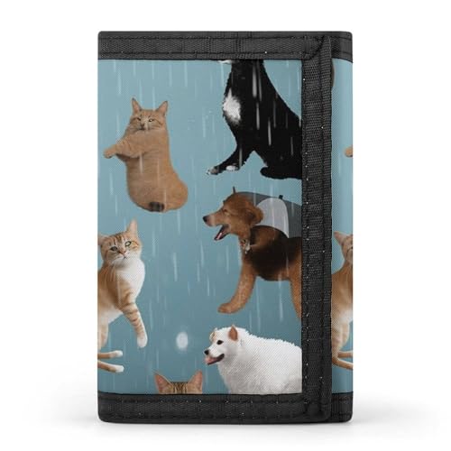 POTSCBVW Raining Cats & Dogs Geldbörse, kompakt, dreifach gefaltet, mit Schlüsselanhänger, leicht und langlebig, für Outdoor, Stil, Einheitsgröße, klassisch POTSCBVW Raining Cats & Dogs Geldbörse, kompakt, dreifach gefaltet, mit Schlüsselanhänger, leicht und langlebig, für Outdoor, Stil, Einheitsgröße, klassisch von POTSCBVW