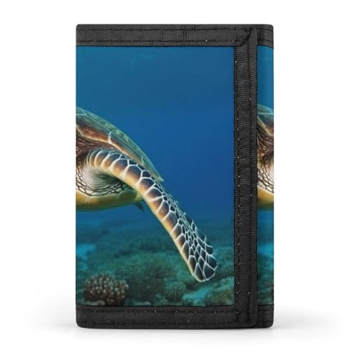 POTSCBVW Sea Turtles Geldbörse, kompakt, dreifach gefaltet, mit Schlüsselanhänger, leicht und langlebig, für Outdoor, Stil, Einheitsgröße, klassisch POTSCBVW Sea Turtles Geldbörse, kompakt, dreifach gefaltet, mit Schlüsselanhänger, leicht und langlebig, für Outdoor, Stil, Einheitsgröße, klassisch von POTSCBVW