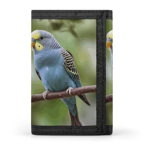 POTSCBVW Sittich-Geldbörse, kompakt, dreifach gefaltet, mit Schlüsselanhänger, leicht und langlebig, für Outdoor, Stil, Einheitsgröße, klassisch POTSCBVW Sittich-Geldbörse, kompakt, dreifach gefaltet, mit Schlüsselanhänger, leicht und langlebig, für Outdoor, Stil, Einheitsgröße, klassisch von POTSCBVW