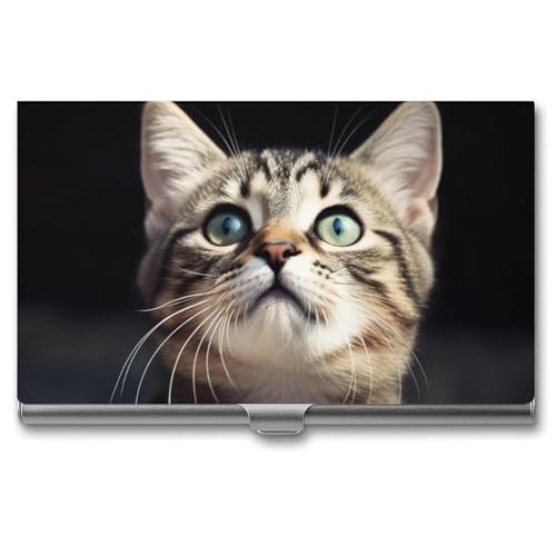 POTSCBVW Visitenkartenhalter für Katzen, superleicht, tragbar, Aluminiumlegierung, schlank, professionelles Visitenkartenetui für Büroangestellte, Männer und Frauen POTSCBVW Visitenkartenhalter für Katzen, superleicht, tragbar, Aluminiumlegierung, schlank, professionelles Visitenkartenetui für Büroangestellte, Männer und Frauen von POTSCBVW