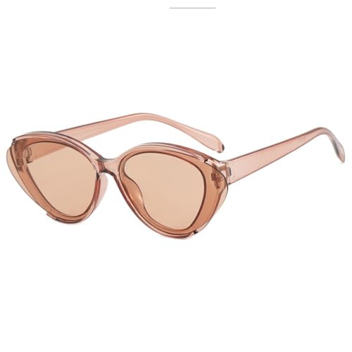 PPFVVTV Cat Eye Sonnenbrille Vintage Gläser Rahmen Retro UV400 Schutz Brillen Mode Brillen für Frauen (4) von PPFVVTV