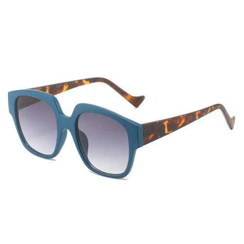 PPFVVTV Modische lila Sonnenbrille, Luxus, Damen und Herren, Farbverlauf, Linsenrahmen, klassisch, Vintage (C3) von PPFVVTV