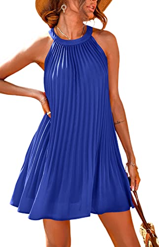 PRETTYGARDEN Damen-Sommerkleider, hübsches ärmelloses Minikleid mit Neckholder, einfarbig, fließend, plissiert, Strandkleid, Blau, Klein PRETTYGARDEN Damen-Sommerkleider, hübsches ärmelloses Minikleid mit Neckholder, einfarbig, fließend, plissiert, Strandkleid, Blau, Klein von PRETTYGARDEN