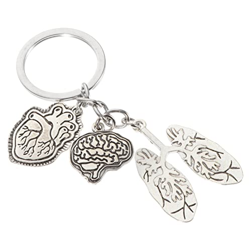 PRETYZOOM Arztgeschenke Keychain Heart Schlüsselanhänger Anatomisches Herz Keychain Gehirnlappen Charme Schlüsselanhänger Arzt Pflege Student Praktizierende von PRETYZOOM