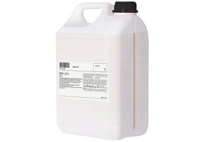 PRIJA Kopfhaut-Pflegeshampoo PRIJA flüssiges Shampoo/Duschgel mit Ginseng, 13-tlg. von PRIJA