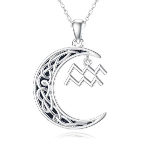 PROESS Sternzeichen Wassermann Halskette 925 Sterling Silber 12 Sternbilder Anhänger Horoskop Zeichen Halsketten Schmuck Geschenke für Frauen Männer von PROESS