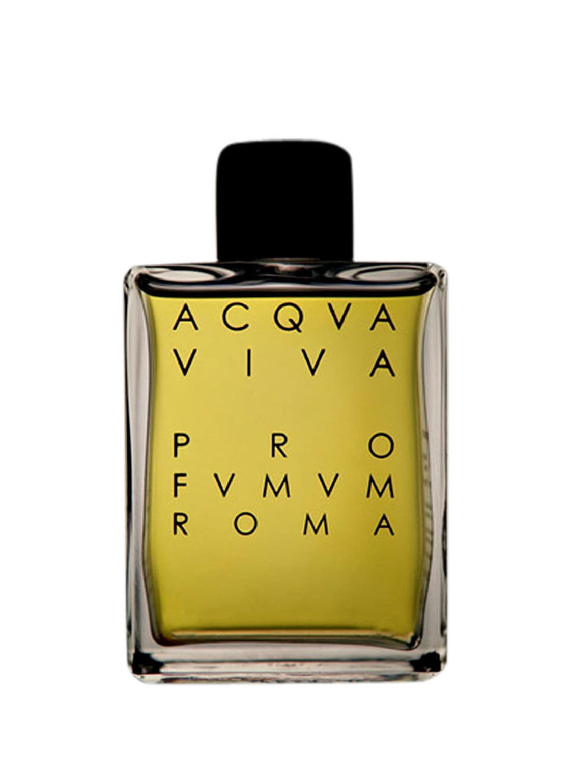 Profvmvm Roma Acqva Viva Eau de Parfum 100 ml von PROFVMVM ROMA