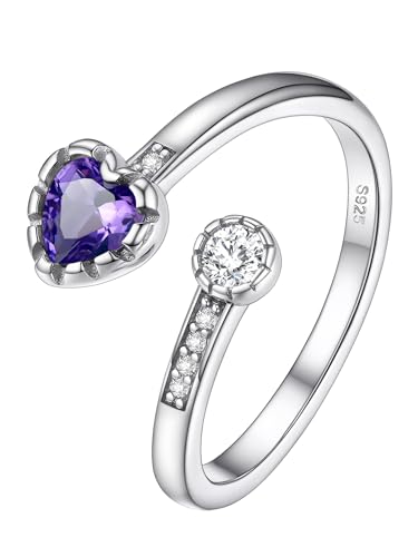 PROSILVER Damen Eternity Ring 925 Silber Offener Ring Herz Geburtsstein synthetischer Amethyst Zirkonia Trauring Verlobungsring Ehering Hochzeit Schmuck von PROSILVER