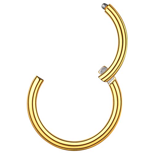 PROSTEEL 18 Gauge Nasenring Nase Conch Daith Helix Piercing 18k vergoldet 6mm Piercing Ring für Septum Tragus Damen Herren Körper Piercing Schmuck Accessoire PROSTEEL 18 Gauge Nasenring Nase Conch Daith Helix Piercing 18k vergoldet 6mm Piercing Ring für Septum Tragus Damen Herren Körper Piercing Schmuck Accessoire von PROSTEEL