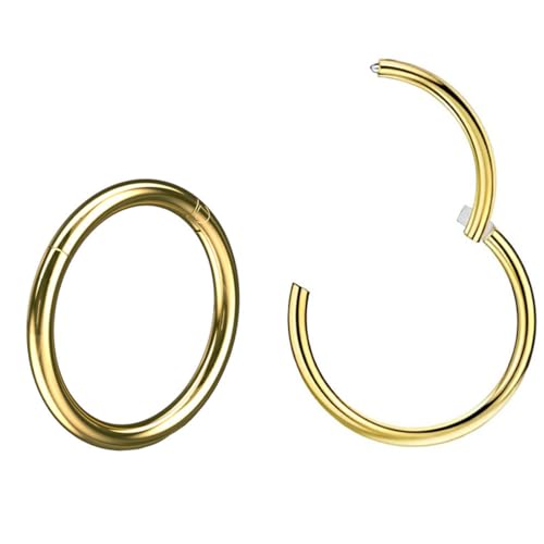 PSOWQ 2 Stück 20G 0.8mm Nasenpiercing Titan Nasenring Nasen Helix Piercing Hoop Nase Nostril Stecker Nasenstecker Daith Earring Frauen Männer Schmuck Rook Tragus Conch 8 10mm von PSOWQ