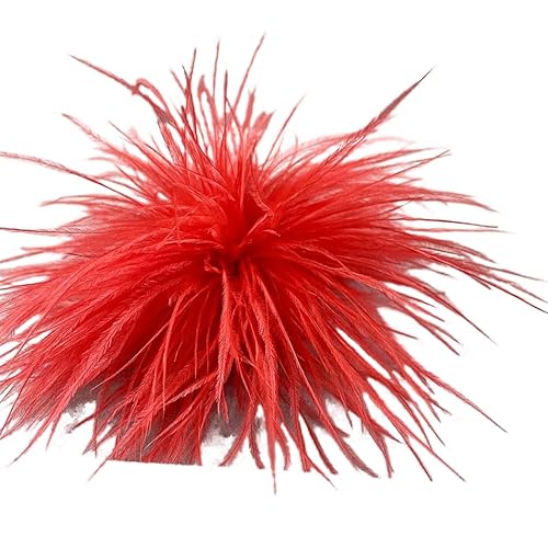 Damen Federbrosche,Flauschige Feder Brosche Straußenfeder Brosche Braut Hochzeit Kopfschmuck Kostüm Deko Federn Haarschmuck Feder Haarspange für Frauen Mädchen Halloween Tanzshow Tea Party Dekoration von PTNKUIIY