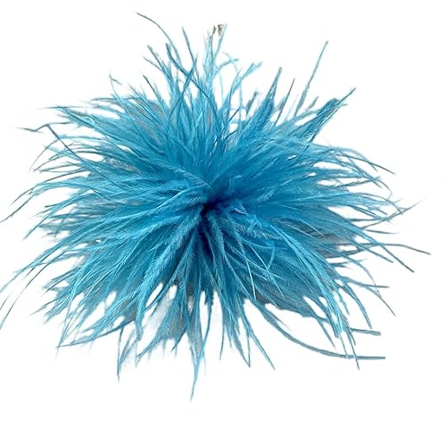 Damen Federbrosche,Flauschige Feder Brosche Straußenfeder Brosche Braut Hochzeit Kopfschmuck Kostüm Deko Federn Haarschmuck Feder Haarspange für Frauen Mädchen Halloween Tanzshow Tea Party Dekoration von PTNKUIIY