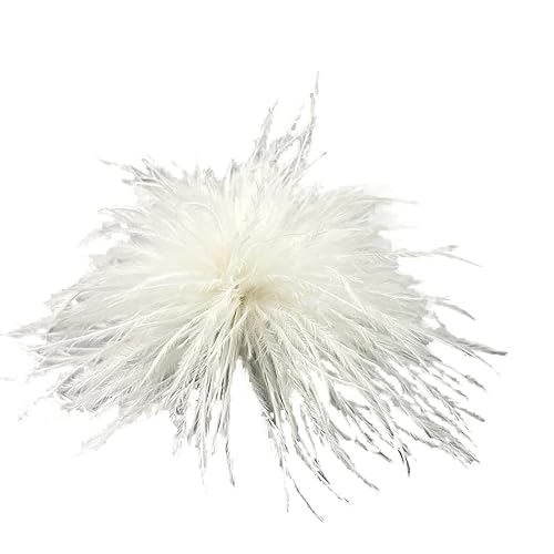Damen Federbrosche,Flauschige Feder Brosche Straußenfeder Brosche Braut Hochzeit Kopfschmuck Kostüm Deko Federn Haarschmuck Feder Haarspange für Frauen Mädchen Halloween Tanzshow Tea Party Dekoration von PTNKUIIY
