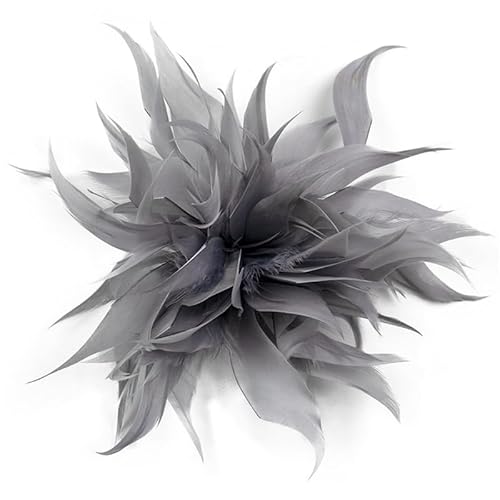 Damen Federbrosche,Flauschige Feder Brosche Straußenfeder Brosche Braut Hochzeit Kopfschmuck Kostüm Deko Federn Haarschmuck Haarklammer Brosche für Frauen Mädchen Halloween Party Dekoration von PTNKUIIY