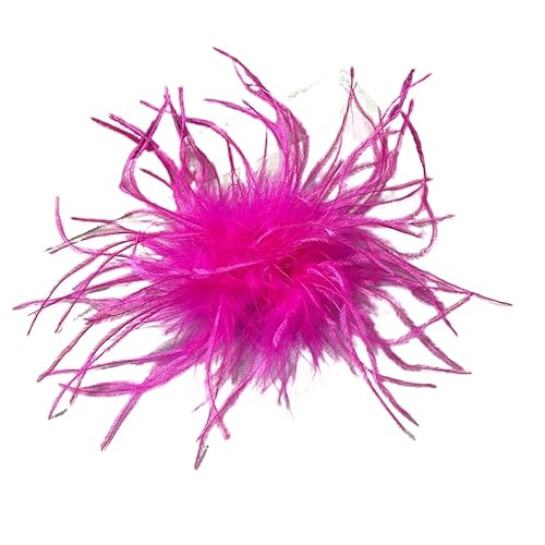 Federbrosche für Damen,Flauschige Straußenfeder Brosche Haarclip Braut Hochzeit Kopfschmuck Brosche Pin Haar Accessoire Fascinator Kopfbedeckung für Mädchen Frauen Geburtstag Hochzeit Party Strand von PTNKUIIY