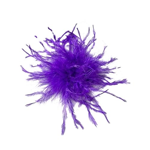 Federbrosche für Damen,Flauschige Straußenfeder Brosche Haarclip Braut Hochzeit Kopfschmuck Brosche Pin Haar Accessoire Fascinator Kopfbedeckung für Mädchen Frauen Geburtstag Hochzeit Party Strand Federbrosche für Damen,Flauschige Straußenfeder Brosche Haarclip Braut Hochzeit Kopfschmuck Brosche Pin Haar Accessoire Fascinator Kopfbedeckung für Mädchen Frauen Geburtstag Hochzeit Party Strand von PTNKUIIY