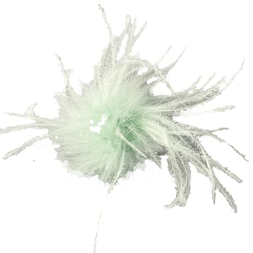 Federbrosche für Damen,Flauschige Straußenfeder Brosche Haarclip Braut Hochzeit Kopfschmuck Brosche Pin Haar Accessoire Fascinator Kopfbedeckung für Mädchen Frauen Geburtstag Hochzeit Party Strand von PTNKUIIY