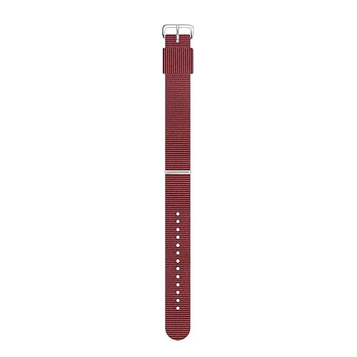 PUCHEN Damen-Nylon-Uhrenarmband, 10mm – 22mm, Uhrenarmband für Herren- und Damenuhrenzubehör, 10mm von PUCHEN