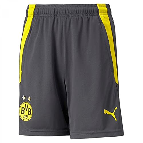 PUMA BVB Dortmund Trainingsshort Kids Grau F04 von PUMA