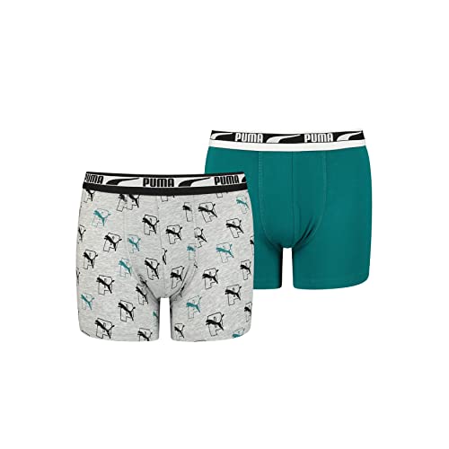 PUMA Boy's Logo Boxer Briefs, Green Combo, 146-152 von PUMA