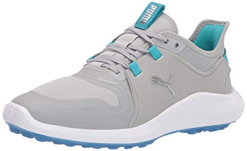PUMA Damen Ignite Fasten8 Golfschuhe, High Rise Silver-Scuba Blue, 41 EU von PUMA