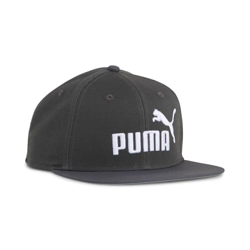 PUMA Erwachsene ESS No. 1 Logo Cap mit flachem Schirm OneSize, Dusky Gray von PUMA