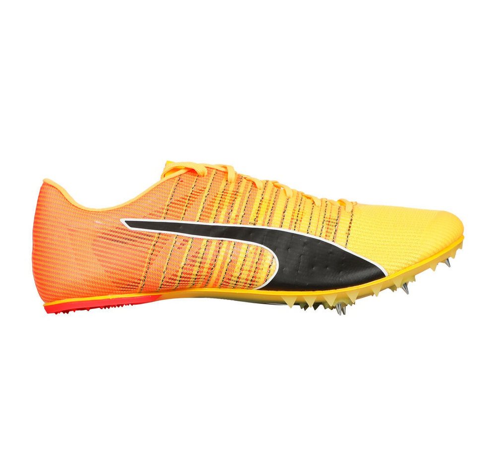 PUMA Evospeed Future 6 - Spikeschuh Laufschuh PUMA Evospeed Future 6 - Spikeschuh Laufschuh von PUMA