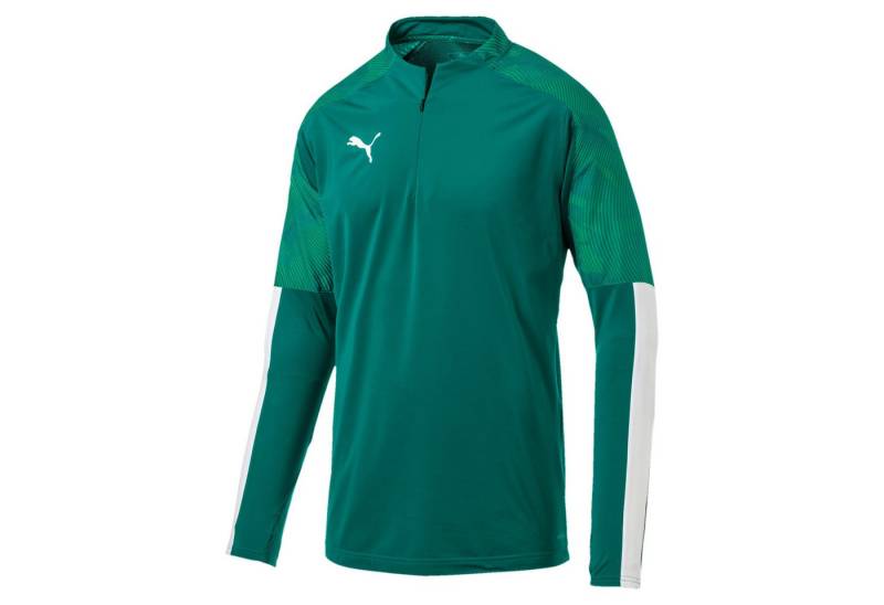 PUMA Fleecepullover Puma Herren Pullover Cup Training 1/4 Zip Top 656016 von PUMA