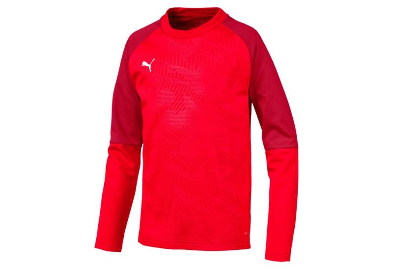PUMA Fleecepullover Puma Kinder Pullover Cup Training Sweat Core Jr 656022 von PUMA