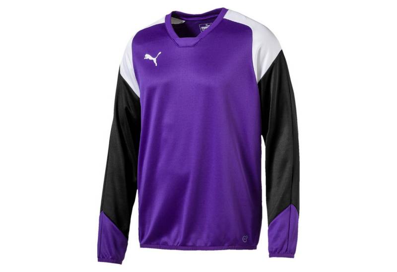 PUMA Fleecepullover Puma Kinder Pullover Esito 4 Training Sweat 655222 von PUMA