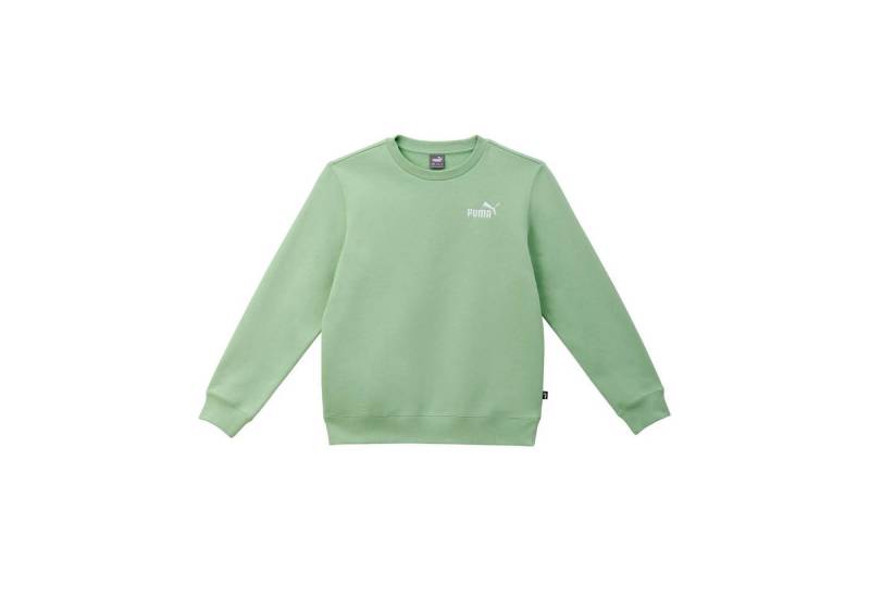 PUMA Fleecepullover Puma Kinder Pullover Essentials + Embroidery Crew Fleece 682356 von PUMA