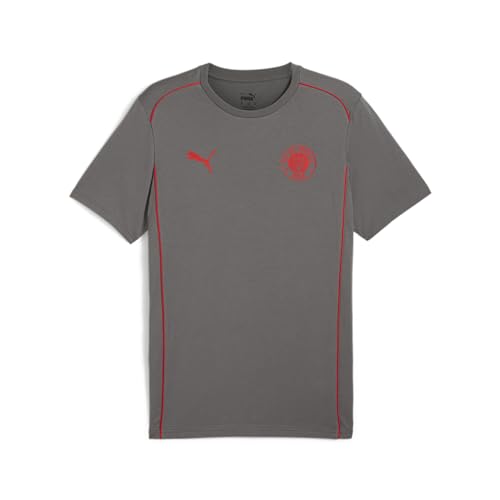 PUMA Herren FC St. Pauli Casuals T-Shirt XXL Flat Medium Gray Red von PUMA