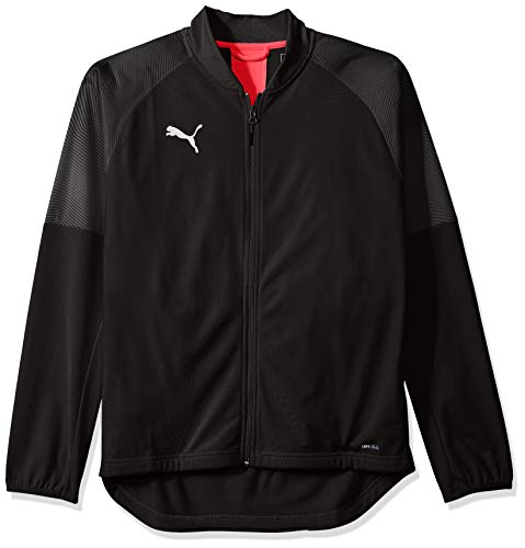 PUMA Herren Ftblnxt Trainingsjacke Übergangsjacke, Schwarz, L von PUMA