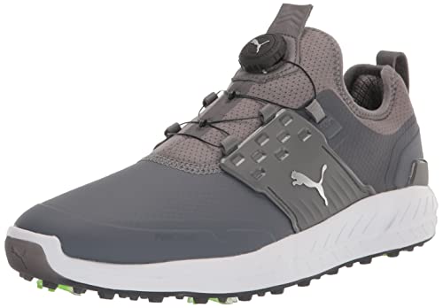 PUMA Herren Ignite Gelenkscheibe Golfschuh, Quiet Shade Silver-Quiet Shade, 45 EU von PUMA