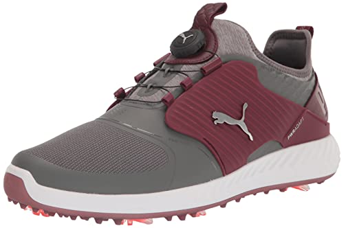 PUMA Herren Ignite Pwradapt Caged Disc Golfschuh, Quiet Shade Silber-Zinfandel, 42.5 EU von PUMA