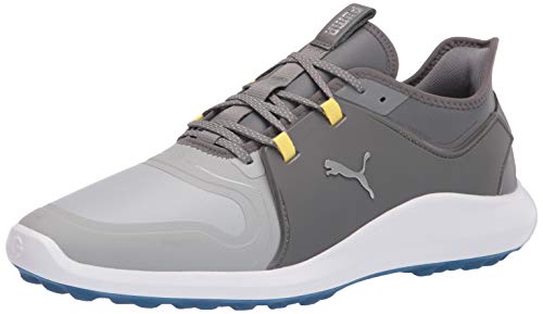 PUMA Herren Ignite Fasten8 Pro Golfschuh, High Rise Silver Silent Shade, 40.5 EU von PUMA