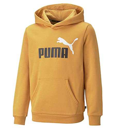 PUMA Jugendliche Essentials+ Two-Tone Big Logo Hoodie 140Desert Clay Beige von PUMA