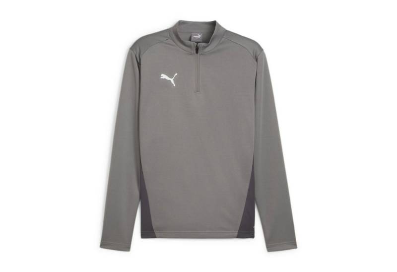 PUMA Langarmshirt Puma Herren Langarmshirt teamGOAL Training 1/4 Zip Top 658629 von PUMA
