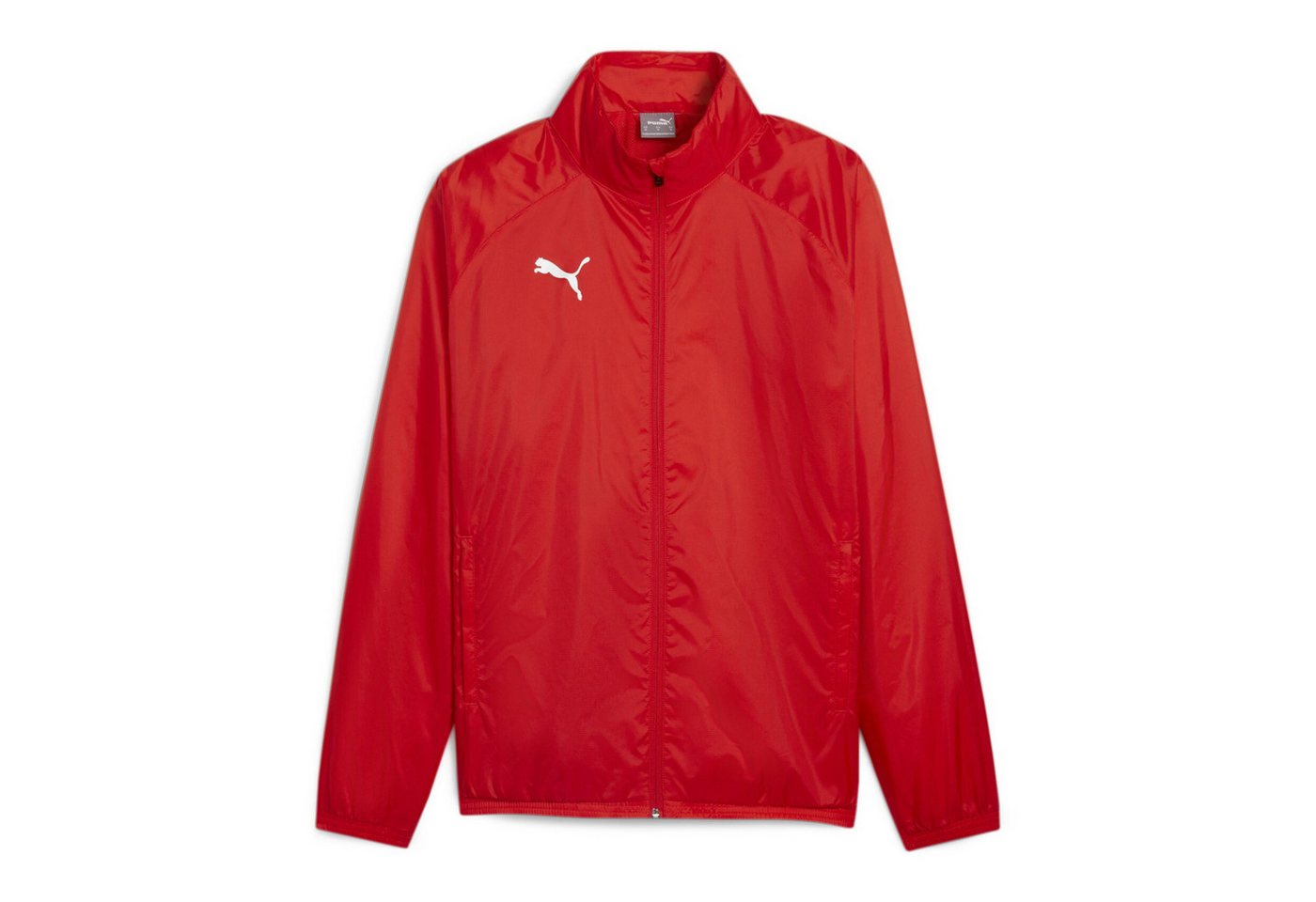 PUMA Regenjacke Puma Herren Allwetterjacke teamGOAL All Weather Jacket 659038 von PUMA