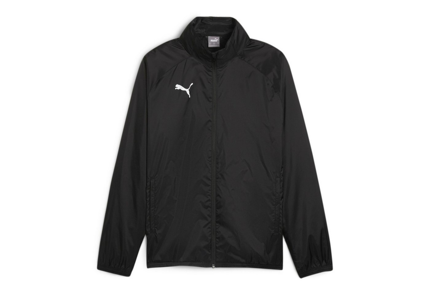 PUMA Regenjacke Puma Herren Allwetterjacke teamGOAL All Weather Jacket 659038 von PUMA