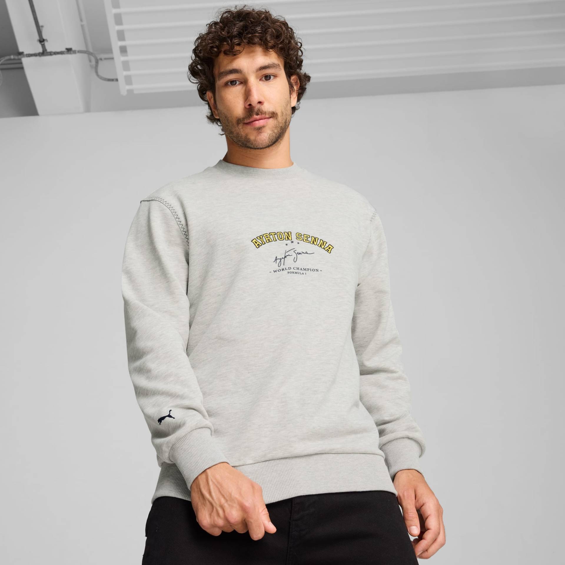 PUMA SENNA A VIDA Sweatshirt Herren, Mit Heide, Grau, Größe: L, Kleidung von PUMA