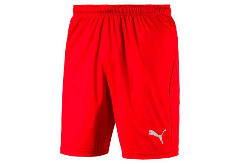 PUMA Sporthose Short Liga Core kurz rot Herren von PUMA