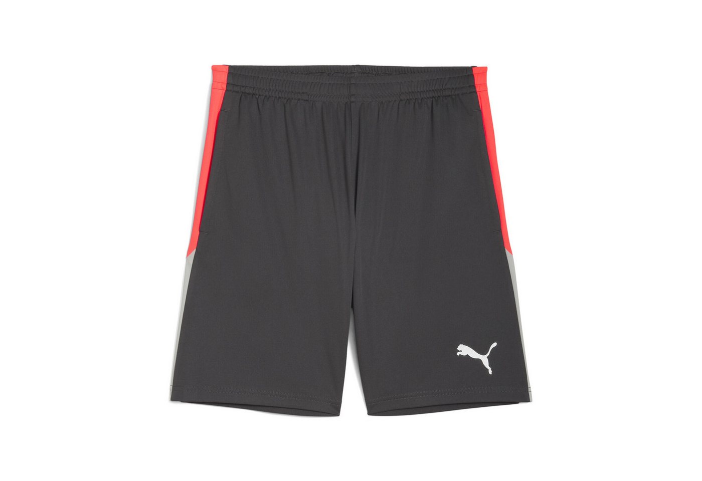 PUMA Sporthose individualLIGA Trainingsshorts Herren von PUMA