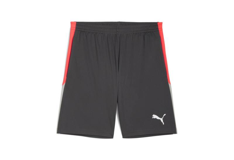 PUMA Sporthose individualLIGA Trainingsshorts Herren von PUMA