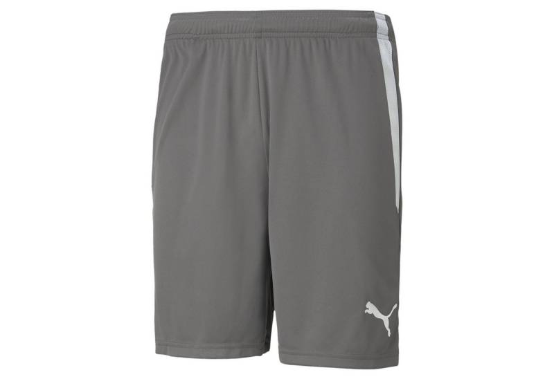 PUMA Sporthose teamLIGA Shorts kurz grau Herren von PUMA