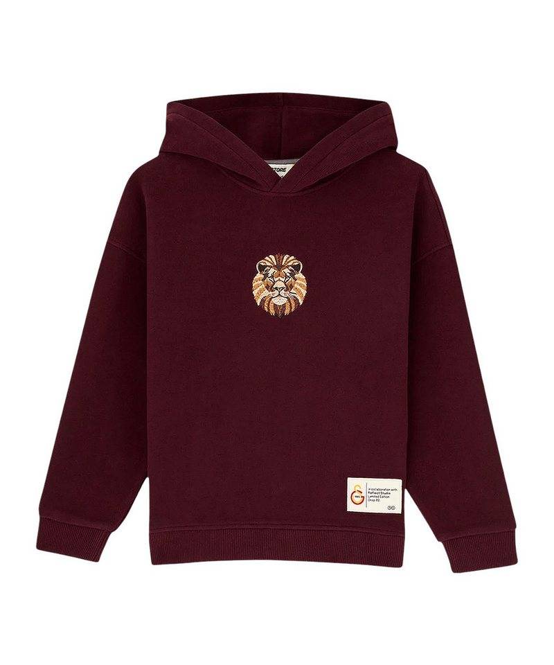 PUMA Sweatshirt PUMA GSSTORE X Reflect Studio Lion Hoody Kids Baumwolle von PUMA