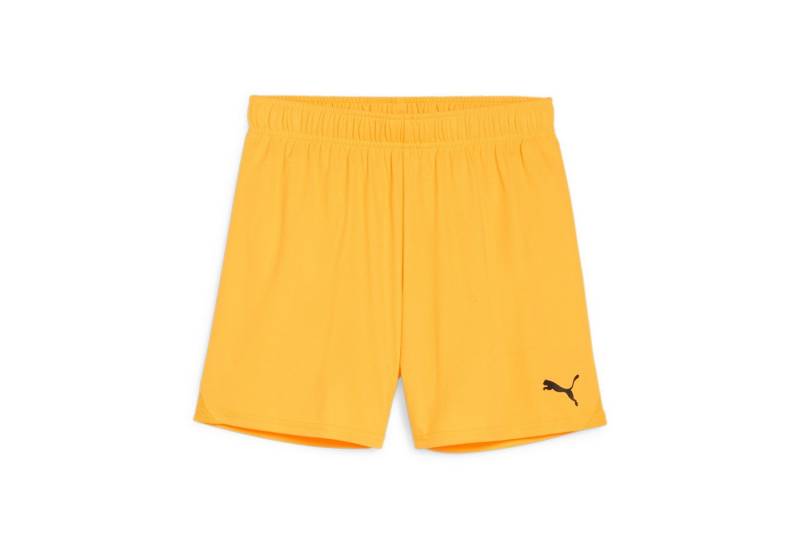 PUMA Trainingsshorts Puma Damen Short teamGOAL Shorts Wmns 705754 von PUMA