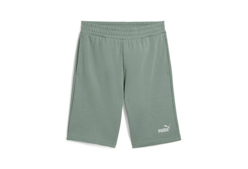PUMA Trainingsshorts Puma Herren Short ESS 2 COLOR No. 1 Logo 10 TR 684715 von PUMA