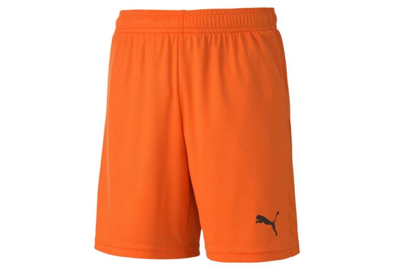 PUMA Trainingsshorts Puma Kinder Short teamGOAL 23 knit Shorts jr 704263 von PUMA