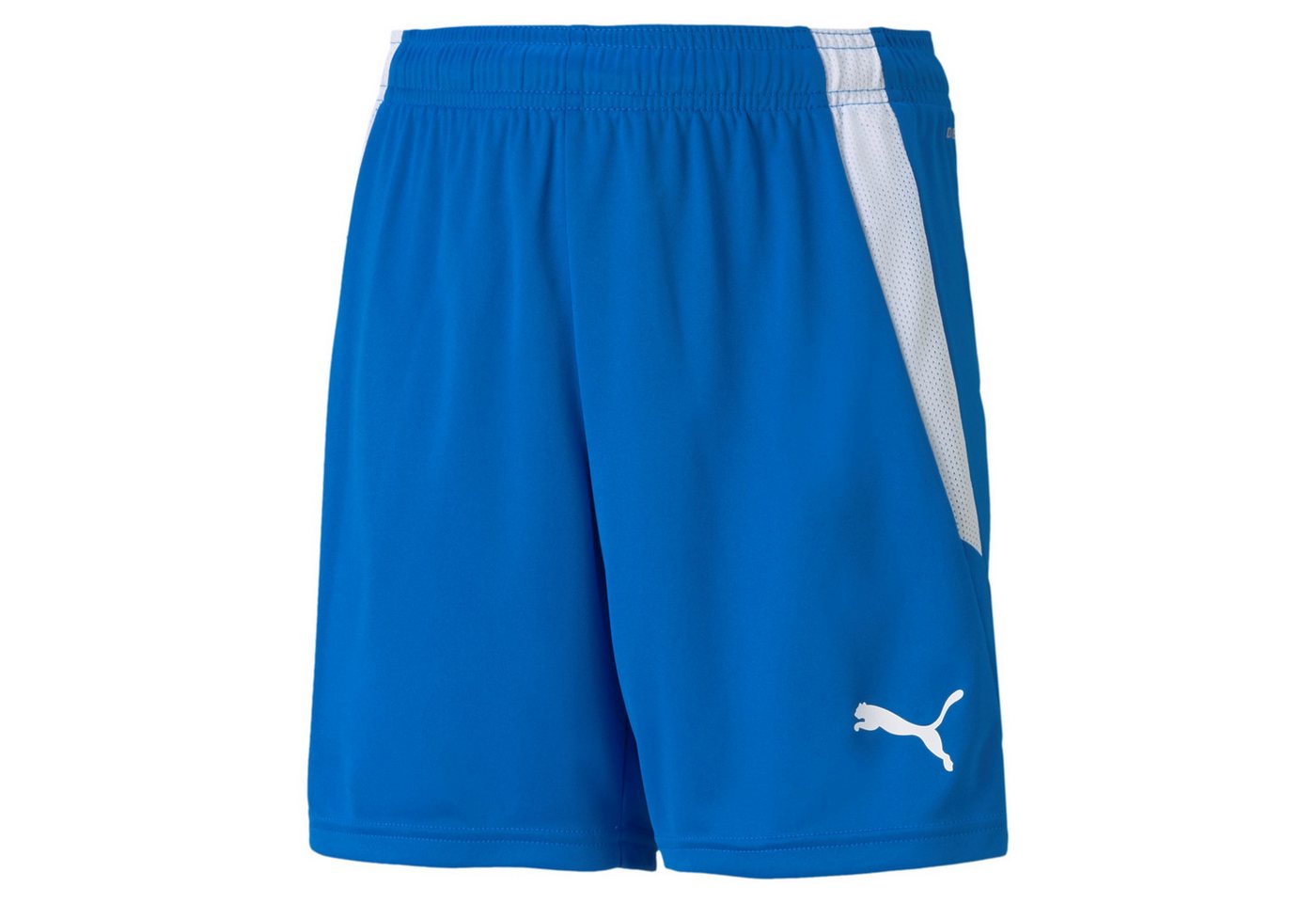 PUMA Trainingsshorts Puma Kinder Shorts teamLIGA Shorts Jr 704931 von PUMA